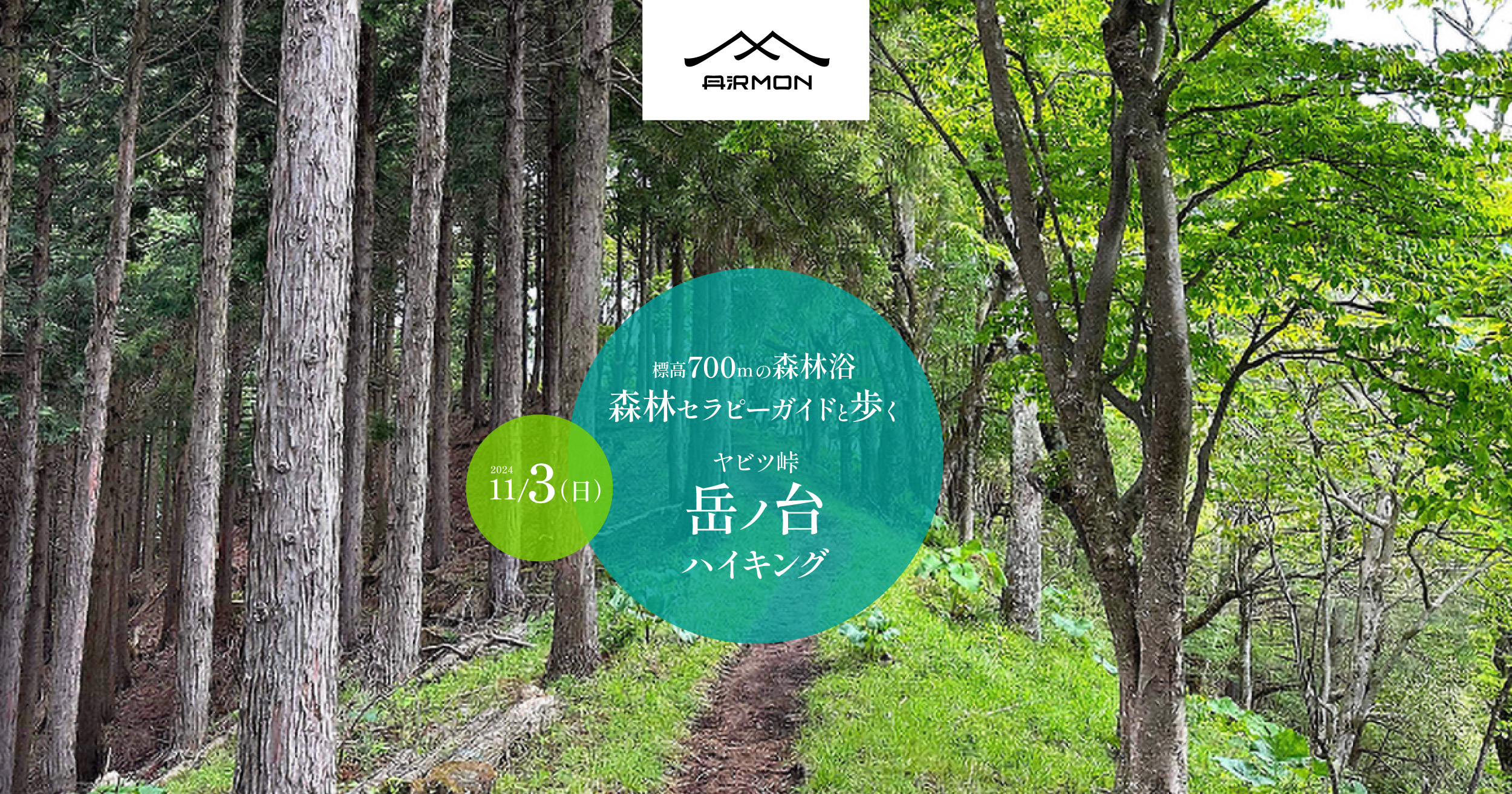 標高700mの森林浴_森林セラピーガイドと歩く「岳ノ台」ハイキング 2024年11月3日 10:00〜