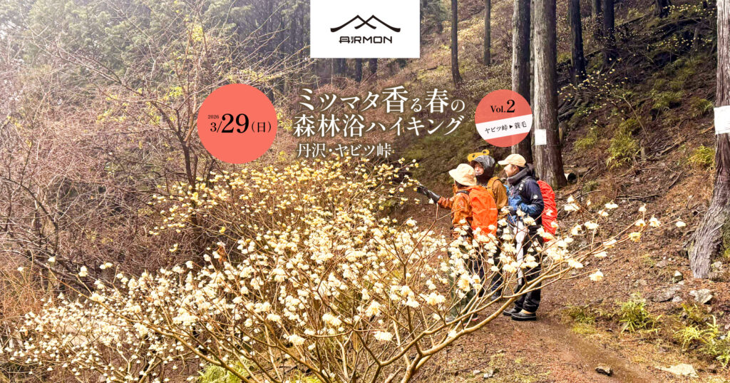 [20260329]ミツマタ香る春の森林浴ハイキング vol.2（ヤビツ峠→蓑毛）｜丹沢・ヤビツ峠