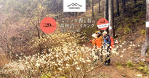 [20260329]ミツマタ香る春の森林浴ハイキング vol.2（ヤビツ峠→蓑毛）｜丹沢・ヤビツ峠